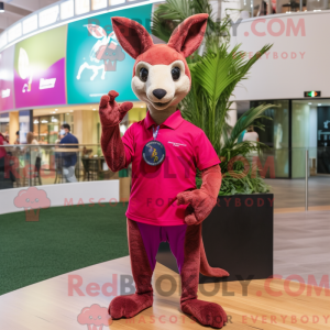 Magenta kenguru maskot...