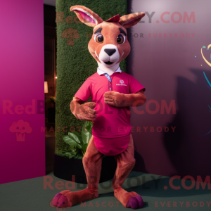 Magenta kenguru maskot...