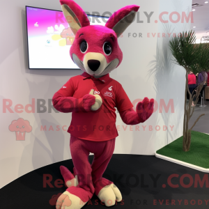 Magenta kenguru maskot...