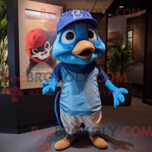 Rust Blue Jay...