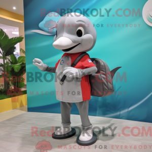 Grå Dolphin maskot drakt...