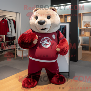 Maroon Seal...