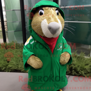 Costume de mascotte de...