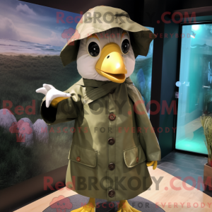 Olive Seagull...