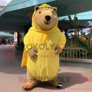 Costume de mascotte...