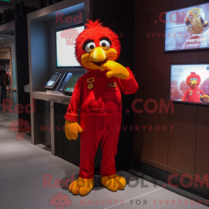 Maskotka Red Canary kostyme...