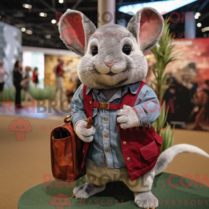 Maroon Chinchilla maskot...
