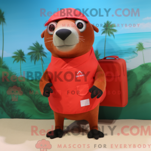 Red Sea Lion maskot kostume...