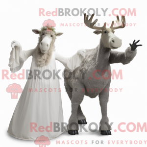 Gray Irish Elk mascot...