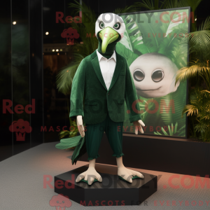 Forest Green Albatross...
