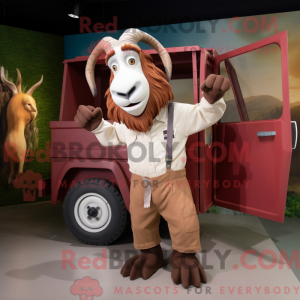 Maroon Boer...