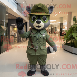 Olive Raccoon...
