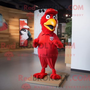 Rød papegøye maskot drakt...
