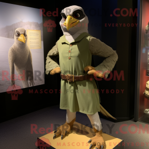 Olive Falcon...