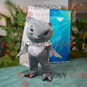 Maskottchen eines grauen...
