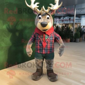 Olive Reindeer mascotte...