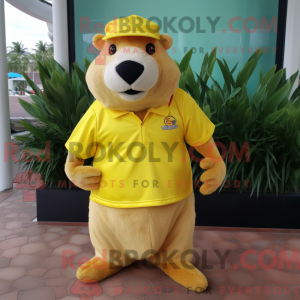 Personaggio mascotte di un...