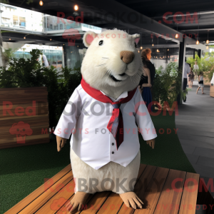 Mascottekarakter van een...