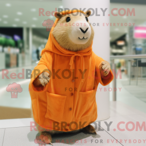 Mascot character of a Peach...