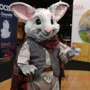 Mascota de una chinchilla...