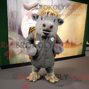 Mascot character of a Gray...