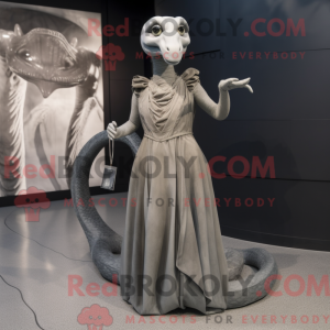 Mascot character of a Gray...