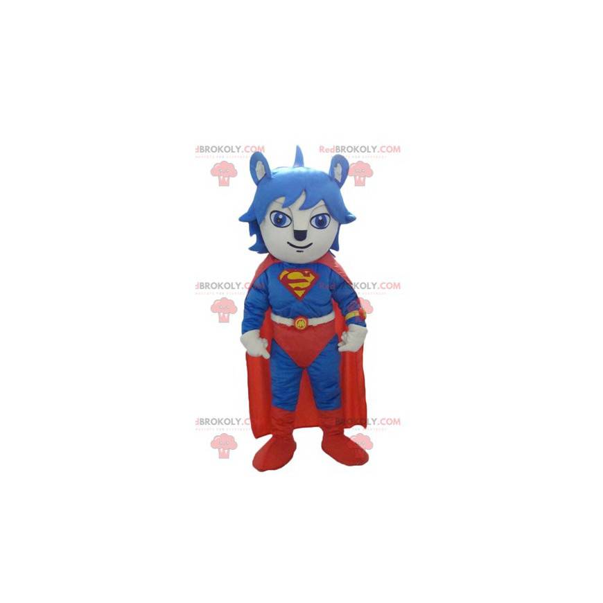 Kot maskotka ubrany w czerwono-niebieski kostium Supermana -
