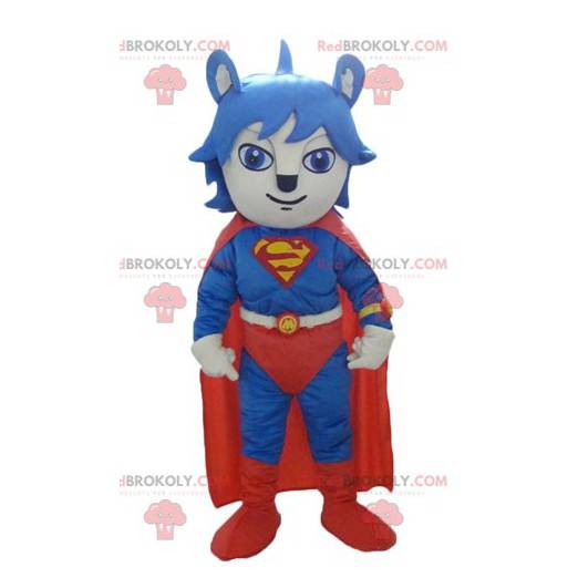 Gato mascote vestido com fantasia de Superman vermelho e azul -