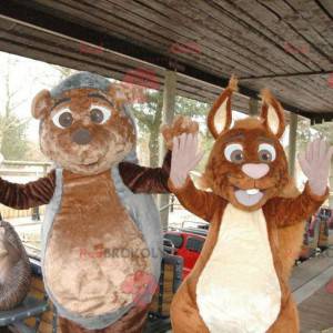 Mascotes ouriço e esquilo - Redbrokoly.com