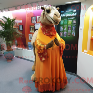 Mascot character of a Camel...