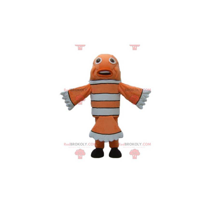 Orange hvid og sort klovnfisk maskot - Redbrokoly.com