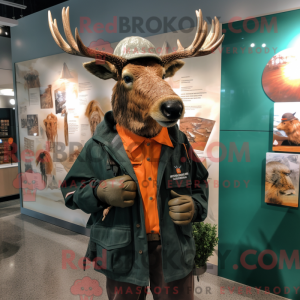 Postava maskota Rust Irish...