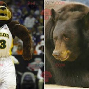 Hnědý a béžový medvěd maskot ve sportovním oblečení