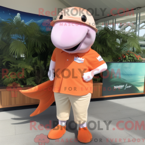 Mascottekarakter van een...