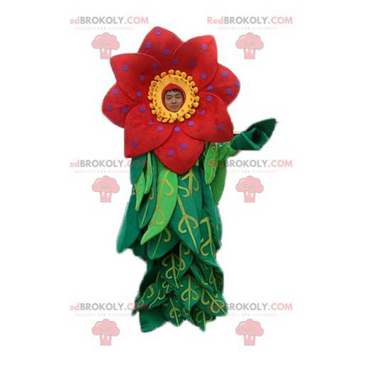 Bella mascotte fiore rosso e giallo con foglie - Redbrokoly.com