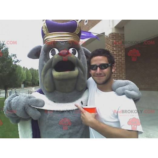 Gray bulldog mascot in king outfit - Redbrokoly.com