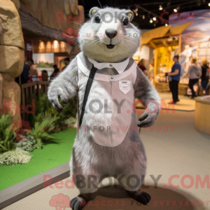 Mascottekarakter van een...