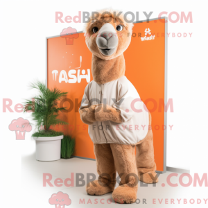 Personaje mascota de un...