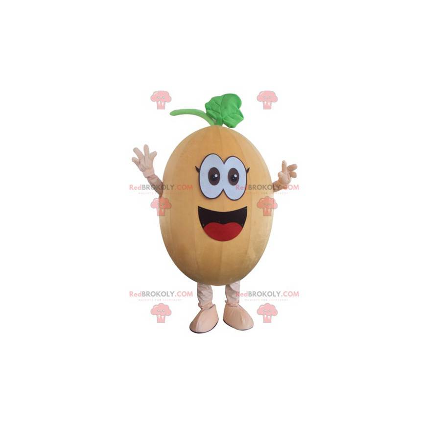 Engraçado e sorridente mascote de abóbora abóbora melão -