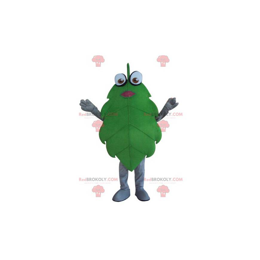 Mascote de folha verde gigante e engraçado - Redbrokoly.com
