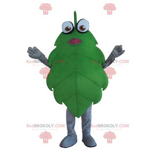 Mascota de hoja verde gigante y divertida - Redbrokoly.com