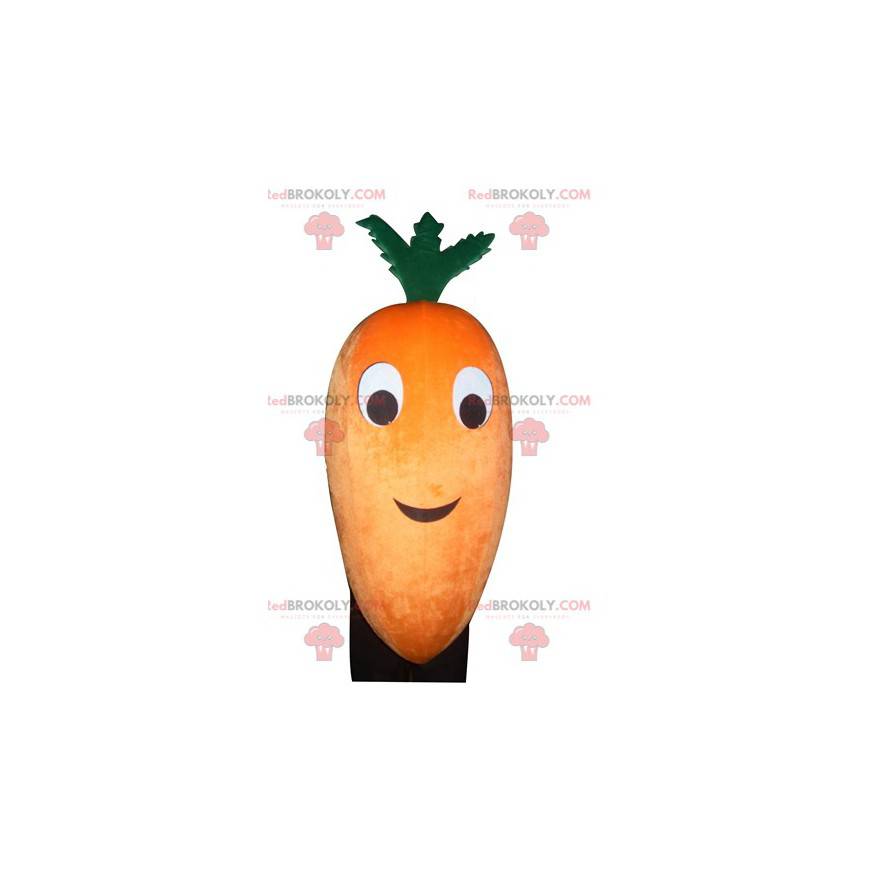 Mascote gigante de cenoura laranja e verde - Redbrokoly.com