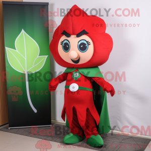 Mascot character of a Red...