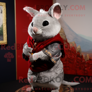 Mascota de una chinchilla...