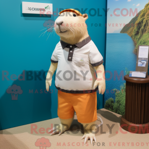 Personaggio mascotte di un...