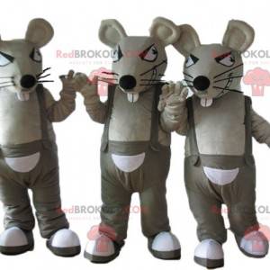 3 mascottes van grijze en witte ratten in overall -