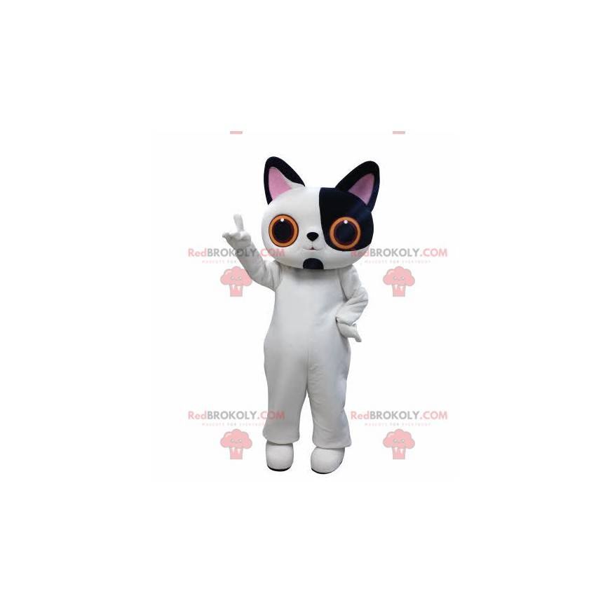 White and black cat mascot with big eyes - Redbrokoly.com