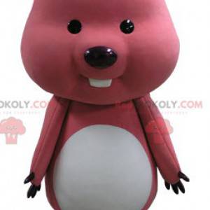 Mascotte di castoro marmotta rosa e bianca - Redbrokoly.com