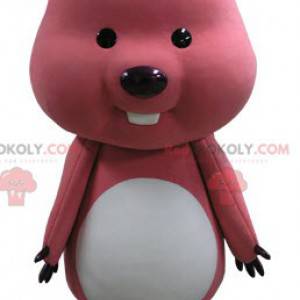 Rosa og hvit marmot bever maskot - Redbrokoly.com