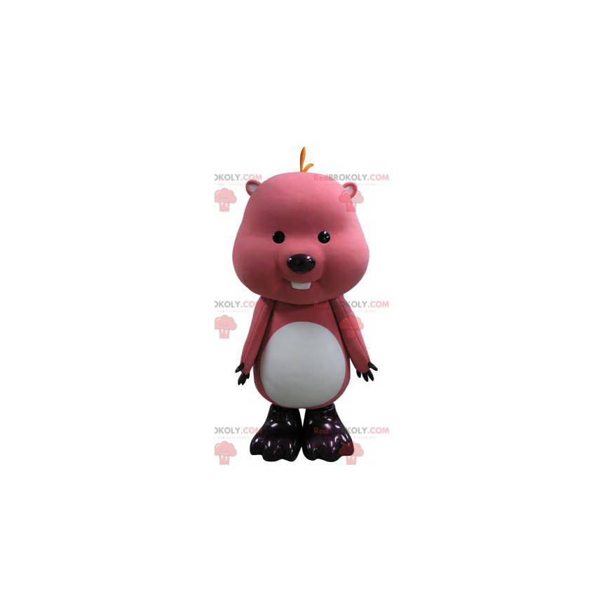 Roze en witte marmot bever mascotte - Redbrokoly.com